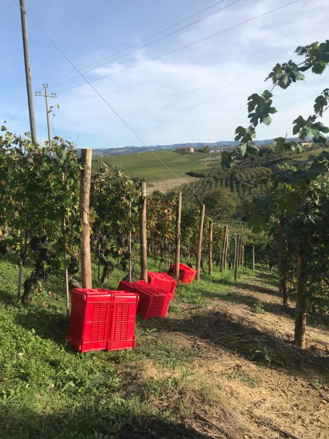 Il Grecale - Camere E Appartamenti La Morra Luaran gambar